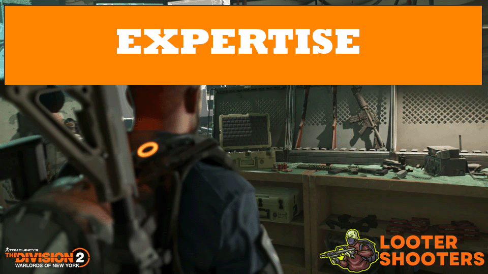 L&rsquo;expertise de The Division 2