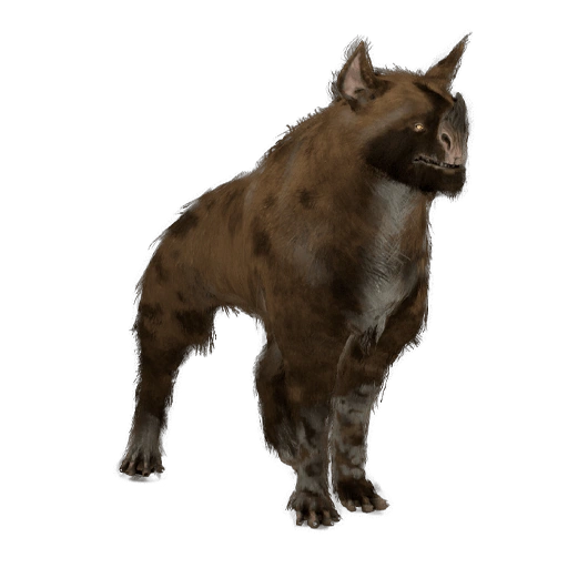 Raksa