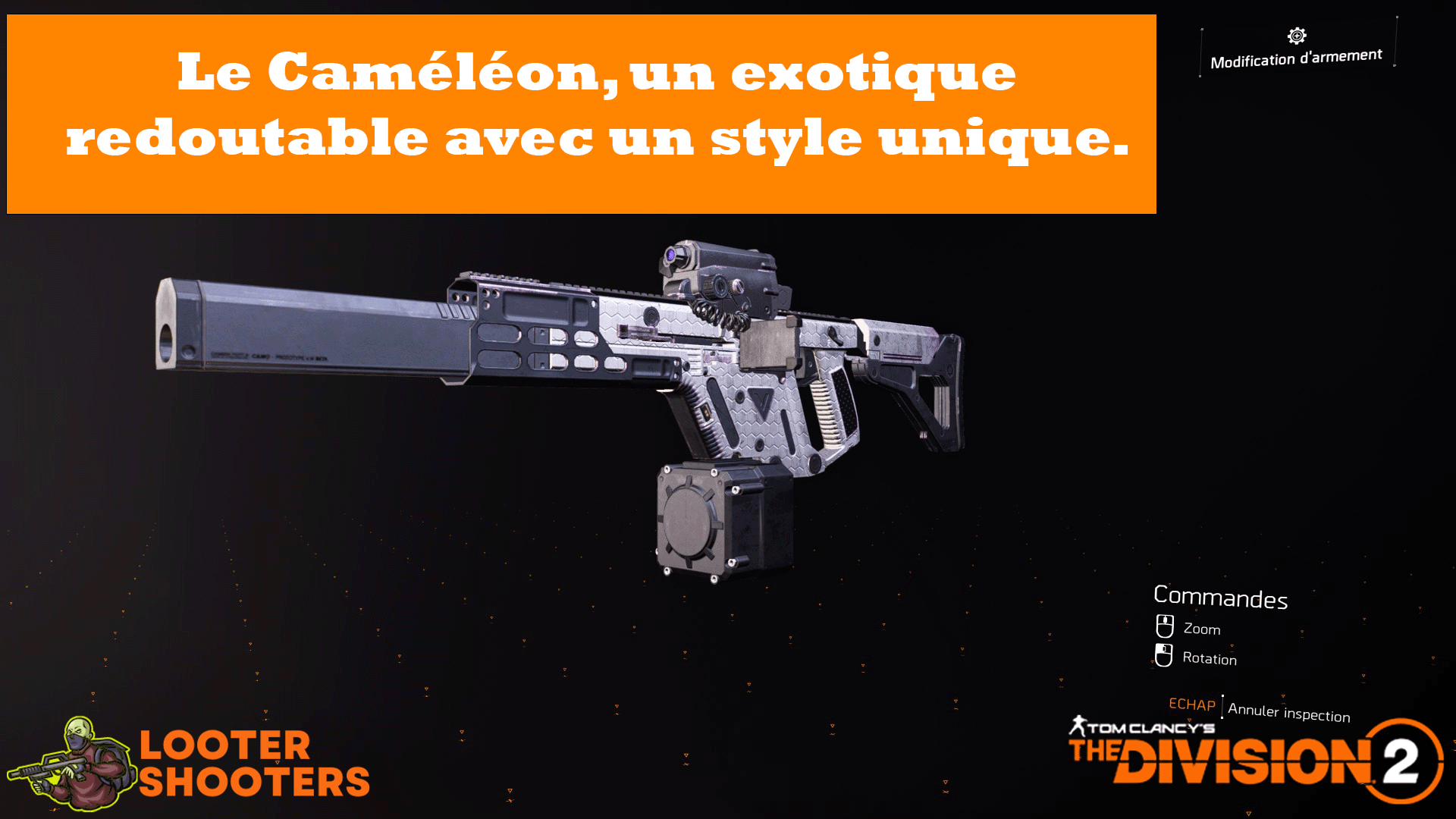 Le caméléon : Un exotique sous-estimer de The Division 2 ?